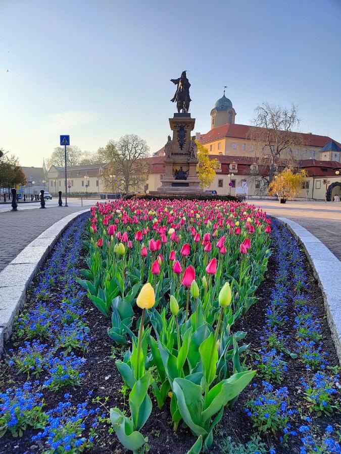 Homestay Podebrady Ngoại thất bức ảnh