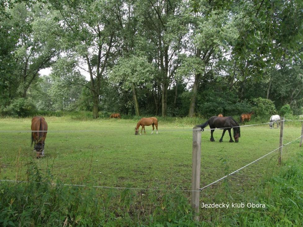 Homestay Podebrady Ngoại thất bức ảnh