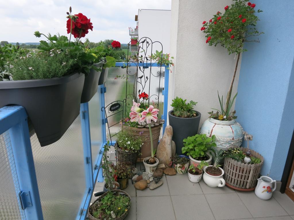 Homestay Podebrady Ngoại thất bức ảnh
